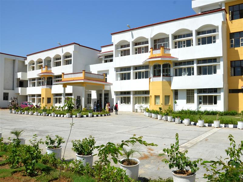 College Banner 1
